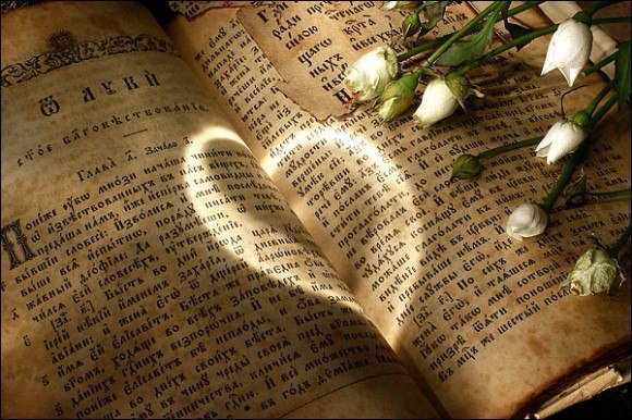 Любовь — совокупность всех добродетелей